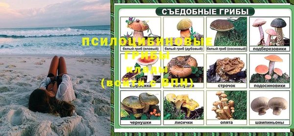 таблы Михайловск