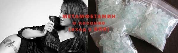 ПСИЛОЦИБИНОВЫЕ ГРИБЫ Михайлов