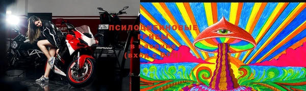 ПСИЛОЦИБИНОВЫЕ ГРИБЫ Михайлов